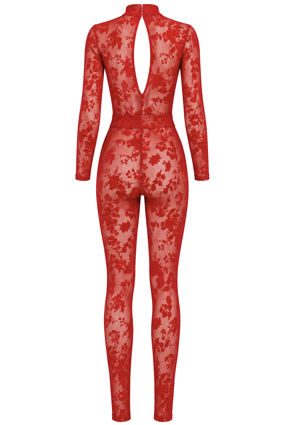 F414 Lovebite Plunging V Catsuit - 3XL-1